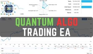 Quantum Algo Trading EA