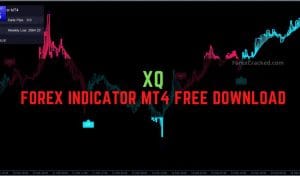 XQ Forex Indicator