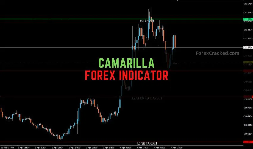Mastering the Market with the Camarilla Forex Indicator For MT4
