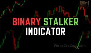 Binary Stalker Indicator