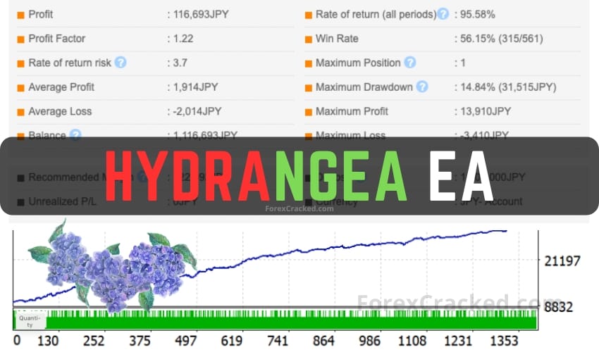 Hydrangea EA FREE Download ForexCracked.com