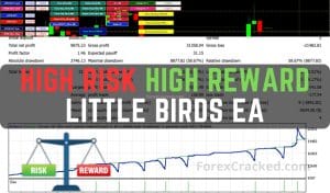 Little Birds EA