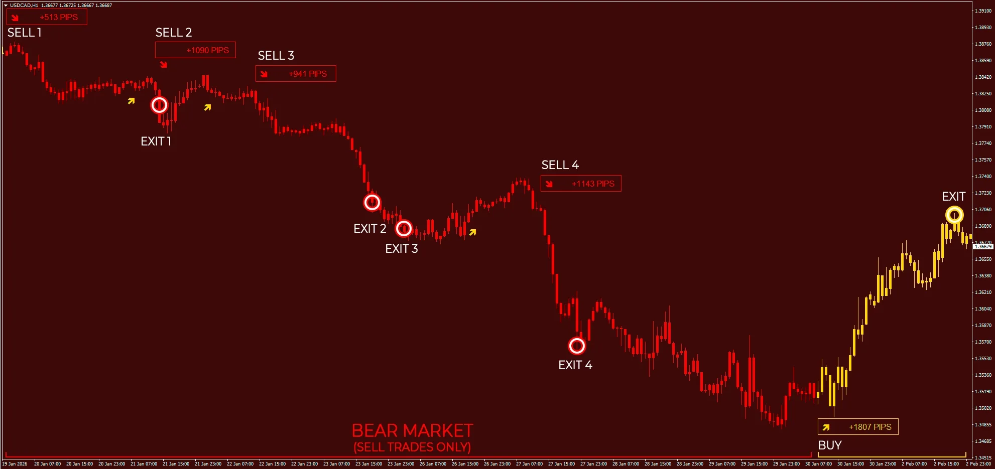 Forex Gladiator in action