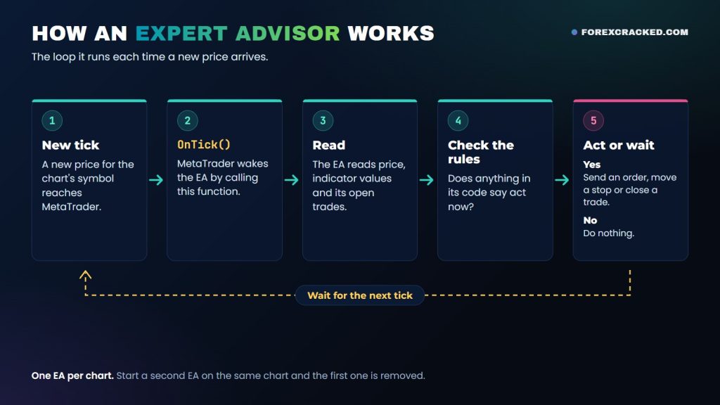How an expert advisor works: a new tick arrives, OnTick runs, the EA reads price, checks its rules, then acts or waits for the next tick
