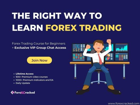 Forex-Trading-Course-for-Beginners-Exclusive-VIP-Group-Chat-Access-4