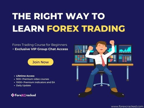 Forex-Trading-Course-for-Beginners-Exclusive-VIP-Group-Chat-Access-4